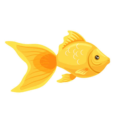 Golden yellow aquarium fish clipart. Vector illustration in cartoon style is isolated on white backgroundのイラスト素材