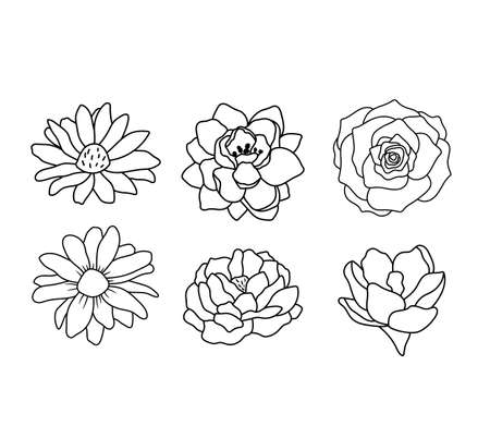 Blossom flower elements isolated on white background. Rose, daisy and peony outline vector illustration. Set line spring flowersのイラスト素材