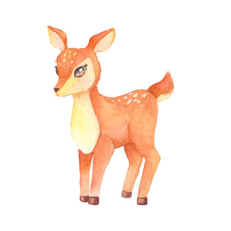 Illustration of watercolor cute Fawn. Hand drawn character forest animal isolated on white background. Woodland illustrationの写真素材
