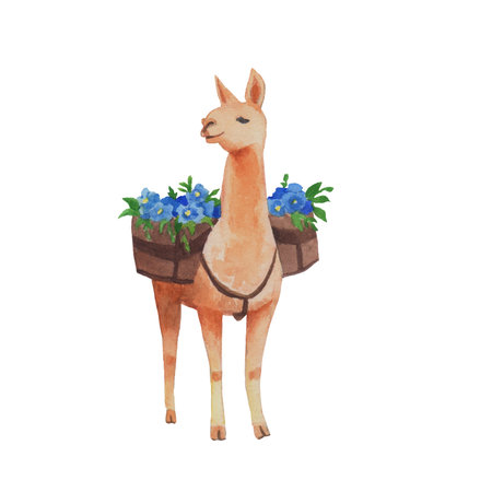 Alpaca with flowers. Watercolor hand painted illustration isolated white background. Funny realistic llama animal.の写真素材