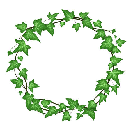 Ivy round wreath isolated on white background, climbing vine with green leaves. vector cartoon frameのイラスト素材