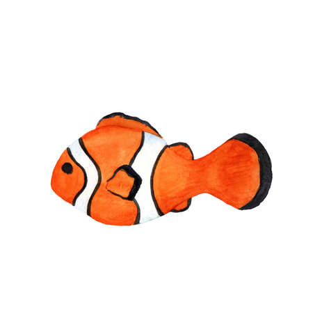 Watercolor illustration cute clownfish. Illustration orange fish isolated on white background. Sea animal for kidsの写真素材