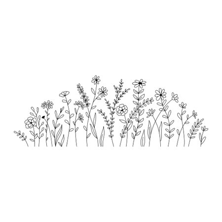 Vector wild herbs and flowers doodle illustration. Field with grass and wildflowers isolated on white backgroundのイラスト素材