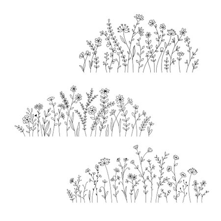 Vector wild herbs and flowers doodle illustration. Field with grass and wildflowers isolated on white background. floral border setのイラスト素材