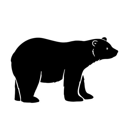 Bear glyph. Vector silhouette of forest animal isolated on whiteのイラスト素材