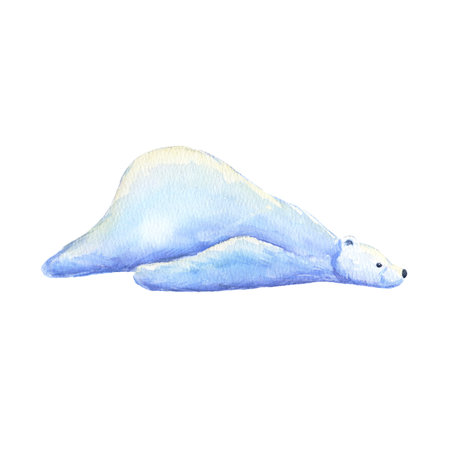 Funny polar bear is lying. Watercolor hand drawn illustration isolated on white.の写真素材