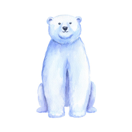 Adult polar bear. Watercolor hand drawn illustration isolated on white.の写真素材