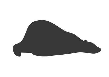 White polar bear. Outline illustration of forest animal. Black silhouette.のイラスト素材