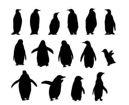Northern Penguin. Realistic polar animal silhouette setのイラスト素材