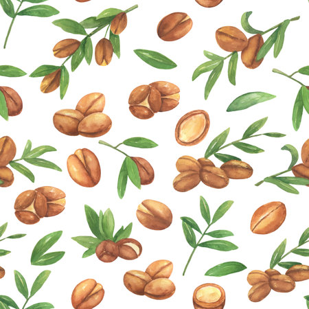 Seamless watercolor pattern with brown argan tree nut and leaves on white.の写真素材