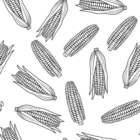 Seamless pattern with corn. Outline illustrations on white. Hand drawn line foodのイラスト素材