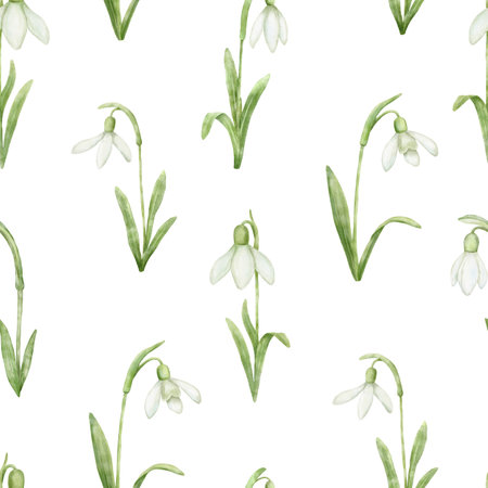 Seamless watercolor pattern with flower snowdrop watercolor illustration. Hand drawn floral drawing isolated on white.の写真素材
