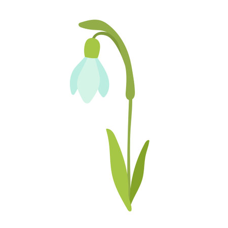 January birth month flower snowdrop flat cartoon vector illustration. Hand drawn floral plant spring sketch isolated on white.のイラスト素材