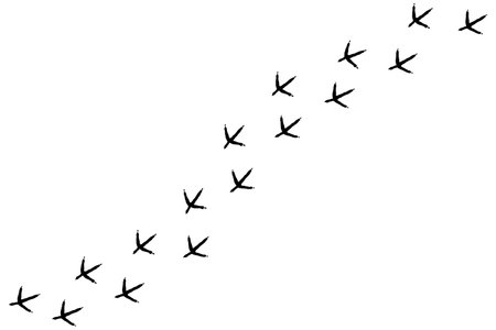 Chicken footprint cute trail. Rooster stampのイラスト素材