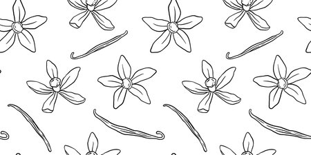 Vanilla pods and plant doodle seamless pattern. Vector outline sketch flowers on whiteのイラスト素材