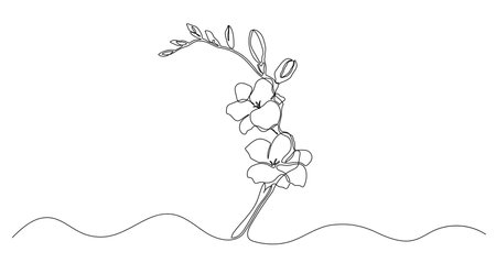 Freesia one line sketch. Hand drawn doodle vector illustration isolated on white background. Plant, flower drawingのイラスト素材