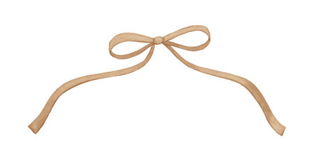 Coquette neutral bow watercolor drawing, isolated illustration, cute ribbonの写真素材