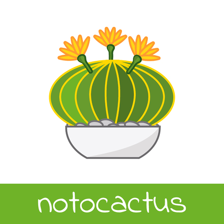 Cactus collection flat isolated vectorのイラスト素材