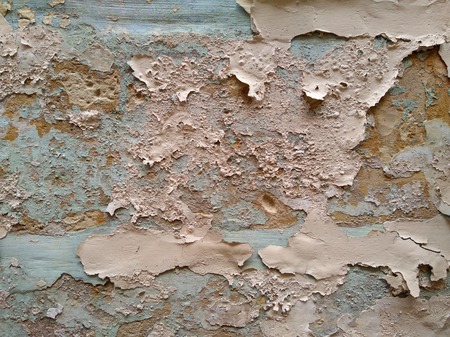 Rough wall background. Grunge paint stone backdrop. Aged crack texture background in pale pink and green blue.の写真素材