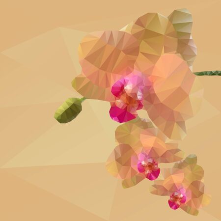 colorful polygonal triangle based mosaic of orchid on polygonal beige background vector illustrationのイラスト素材