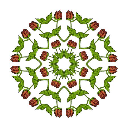 Mandala Round Colorful Floral Pattern Illustrationのイラスト素材