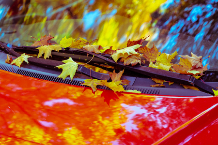 red car standing with maple autumn leaves on the windowの写真素材