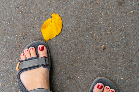 Woman feet wearing sandals with red nails and a vivid yellow tree leaf on asphaltの写真素材