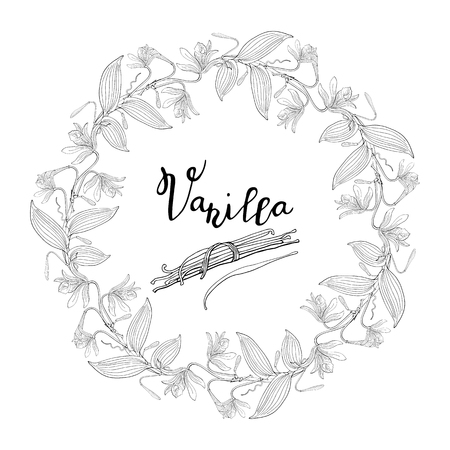 Wreath from vanilla orchid flowers and leaves, pod, floral round decoration borderのイラスト素材