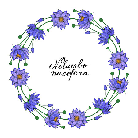 Wreath from lotus flower, floral round decoration border, botanical design elementのイラスト素材