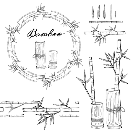 Wreath and seamless brush from bamboo, floral round decorationのイラスト素材