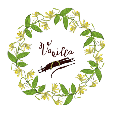 Wreath from vanilla orchid flowers and leaves, pod, floral round decoration borderのイラスト素材