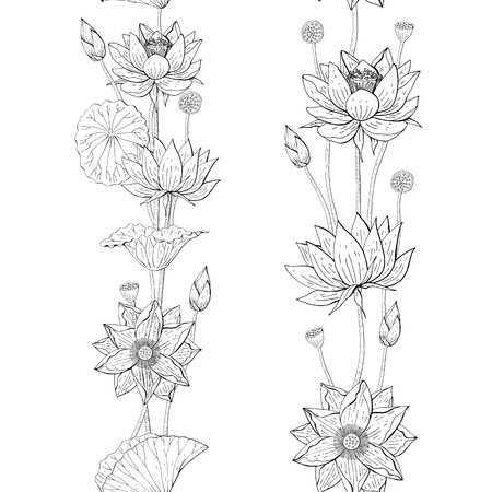 seamless brush from lotus flowers and leaves, floral design elementのイラスト素材