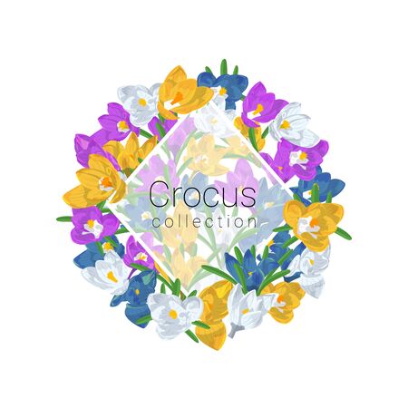 Hand drawn colorful crocus flowers round arrangement. Greeting card template, Floral design element. Isolated on white background. Vector illustration.のイラスト素材