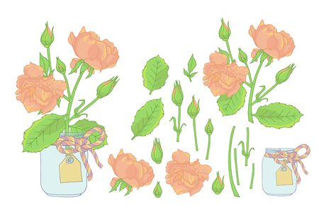 Hand drawn rose flowers in mason jar clipart set. Floral design element. Isolated on white background. Vector illustration.のイラスト素材