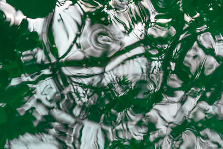 Abstract background with reflection of plants on the surface of waterの写真素材