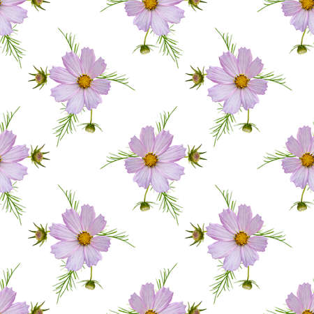Colorful floral seamless pattern with pink cosmos flowers collage on white background. Stock illustration.の写真素材