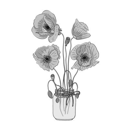 Hand drawn monochrome poppy flowers in mason jar clipart. Floral design element. Isolated on white background. Vectorのイラスト素材