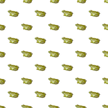 Seamless pattern with photo of green frog on a white backgroundの写真素材