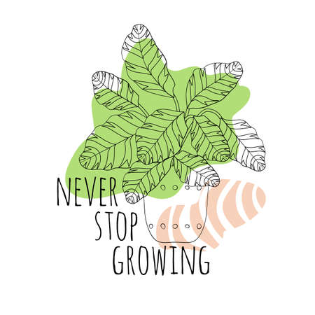 Minimalist boho illustration of quote Never Stop Growing with black line art potted house plant maranta and abstract shapes backgroundのイラスト素材