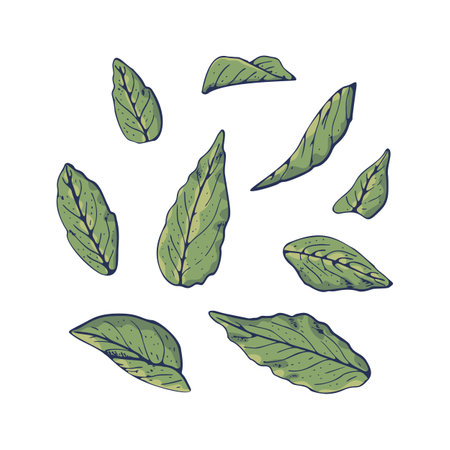 Line art green leaves set with dark blue outline isolated on whiteのイラスト素材