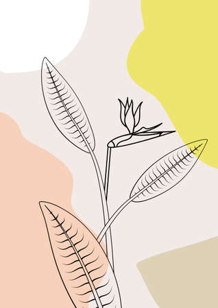 Boho style print with line art tropical flower bird of paradise and fluid abstract shapes on background. Pastel neutral colors.のイラスト素材