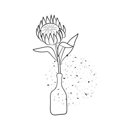 Line art black ptotea flower in vase isolated on white backgroundのイラスト素材