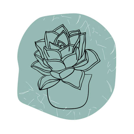 Line art black tropical potted house plant succulent sempervivum machogany with colorful abstract boho shape background.のイラスト素材