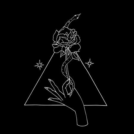 Vintage Mystic hand holding rose with a snake coiled around the flower with triangle on backgroundのイラスト素材