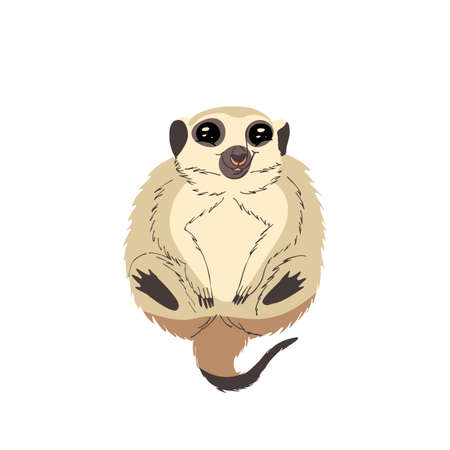 Flat Illustration Of Cute Meerkat Isolated On Whteのイラスト素材 イメージマート