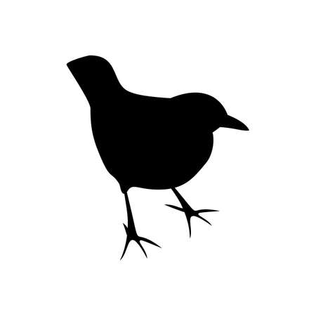 Black silhouette of blackbird isolated on whiteのイラスト素材