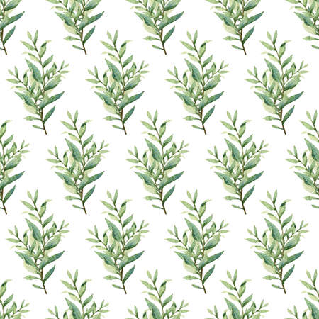 Watercolor greenery seamless pattern, floral texture on whiteの写真素材
