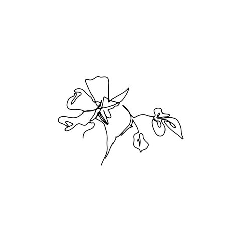 One single line rose flower drawing.のイラスト素材