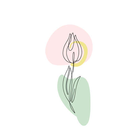 One line drawing tulip. Hand drawn single line flower with neutral abstract shapesのイラスト素材
