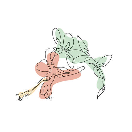 One single line drawing of hibiscus flower and pastel neutral shapesのイラスト素材